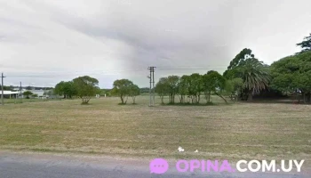 Textil Colón Srl - 12400 Montevideo