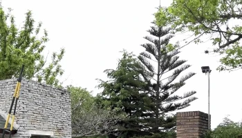 The British Schools - Montevideo