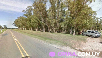 The Garzón School - Manantiales