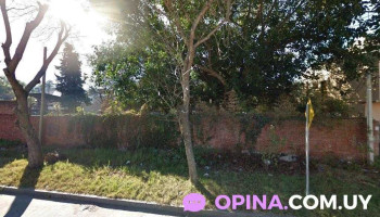 The Green Nature - Departamento De Montevideo