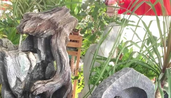 Tienda De Regalos Buceo - Montevideo Tienda De Regalos Buceo - Montevideo