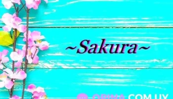 Tienda Sakura - 15200 Estación Atlántida