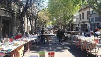 Tiendacanica - Montevideo