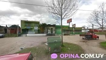 Todo Bicho Veterinaria - 12300 Montevideo