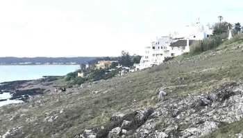 Todo Punta Inmobiliaria - Punta Del Este