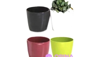 Todoenvases - 97000 Durazno Todoenvases - 97000 Durazno