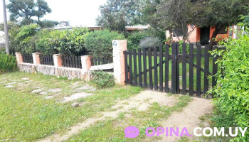 Trabajos en general El Pollo Pintor - Las Toscas