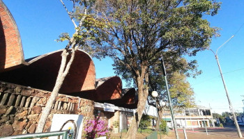 Transito Intendencia De Salto - Andrés Latorre