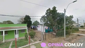 Trendy Braids - Perez Castellano 1050