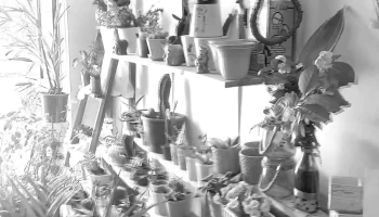 Tunitas - Ideas Originales - 33000 Treinta Y Tres