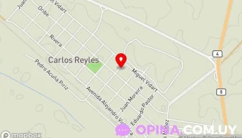 Tv Cable Carlos Reyles - Guillermo Amespil Tv Cable Carlos Reyles - Guillermo Amespil