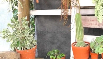 Unidad de Semilla - Maltería Uruguay - 70800 Ombúes De Lavalle Unidad de Semilla - Maltería Uruguay - 70800 Ombúes De Lavalle