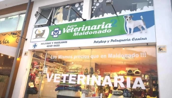 Urgencia veterinaria - 20100 Maldonado