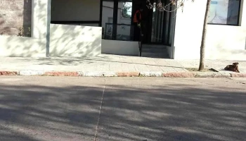 Ute Oficina Comercial treinta y tres.. - Avelino Miranda