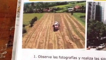 Utu Cardona - Cardona