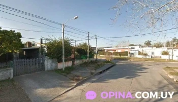 Utu de las piedras - Las Piedras