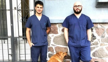 Uvet - 11600 Montevideo Uvet - 11600 Montevideo