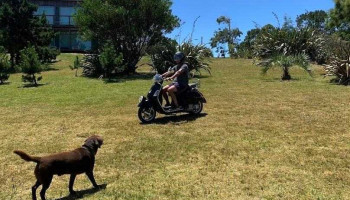 Valle Marino - La Paloma