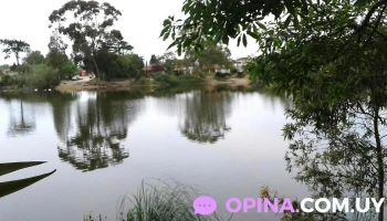 Varela Inmobiliaria Sucursal Lagomar - Ciudad De La Costa