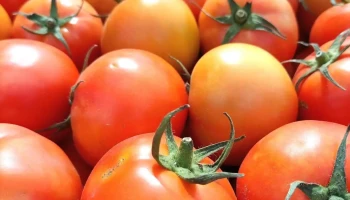 Verdulería Las Tunas , tienda natural - Av. De La Garzas