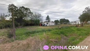 Vet Delivery - Ruta 8