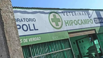 Vet Hipocampo - 15900 Las Piedras