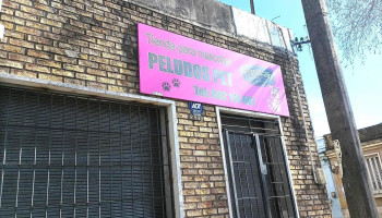 Veterinaria - 12000 Montevideo