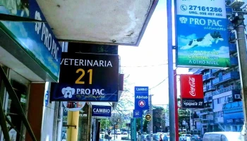 Veterinaria 21 - 11300 Montevideo