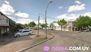 Veterinaria Achard - 75200 Cardona