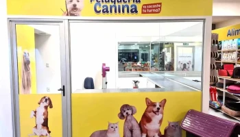 Veterinaria Alem - 11300 Montevideo