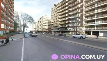 Veterinaria Alem - 11300 Montevideo Veterinaria Alem - 11300 Montevideo