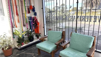 Veterinaria Alvear - Departamento De Canelones