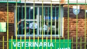 Veterinaria Amancia - 50000 Salto