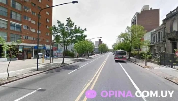 Veterinaria Ami - Montevideo