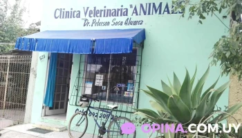 Veterinaria Animales - 27100 Chuy