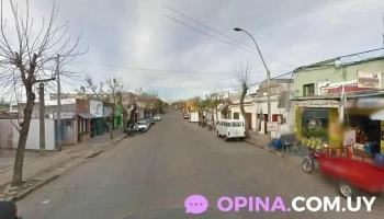 Veterinaria Animalías - 33000 Treinta Y Tres