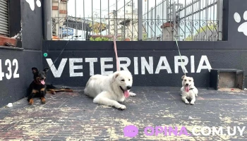Veterinaria Anubis - 11600 Montevideo