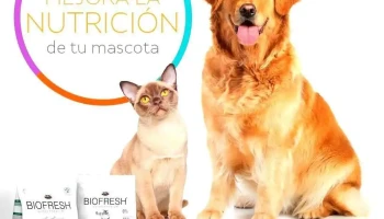 Veterinaria Babú - 11700 Montevideo