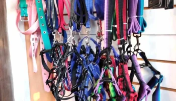 Veterinaria Carafi - 12900 Montevideo