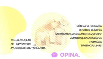 Veterinaria Care - Del Valle Esquina Veterinaria Care - Del Valle Esquina