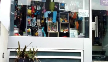 Veterinaria Castroman - 11300 Montevideo