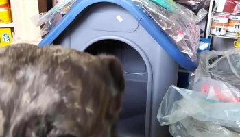 Veterinaria Coky - 11700 Montevideo Veterinaria Coky - 11700 Montevideo