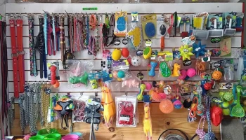 Veterinaria Colon - 12500 Montevideo