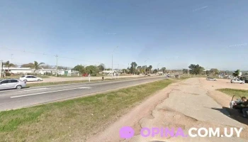 Veterinaria del Aeropuerto - Panambí Local 7