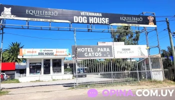 Veterinaria Dog House - Av. Giannattasio
