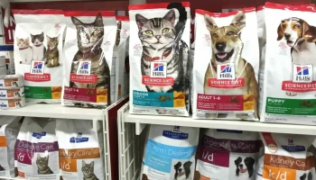 Veterinaria Dogtor Miau - 11600 Montevideo