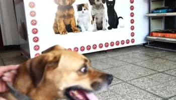 Veterinaria Dr. Jorge Daniel Soriano - Fabián Onsari 957 Veterinaria Dr. Jorge Daniel Soriano - Fabián Onsari 957