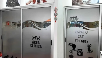 Veterinaria Dra. Noelia Robledo - 11200 Montevideo