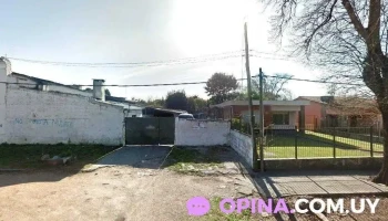 Veterinaria El Cimarrón - 12500 Montevideo