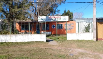 Veterinaria El Palenque - 12800 Montevideo
